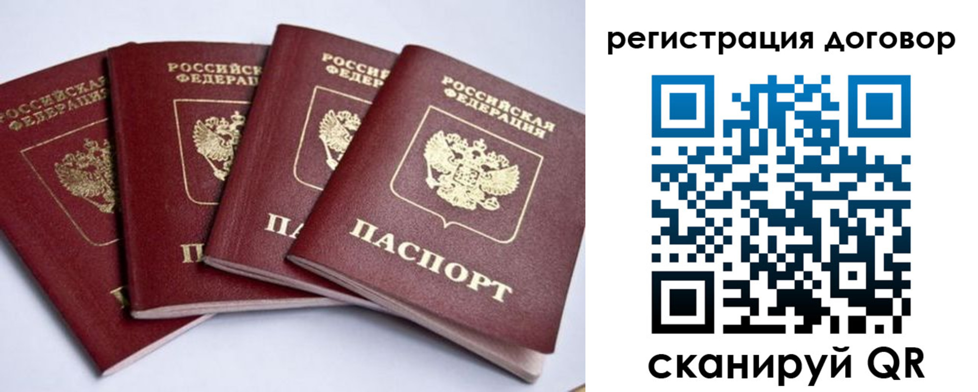 прописка поиск в Стародубе