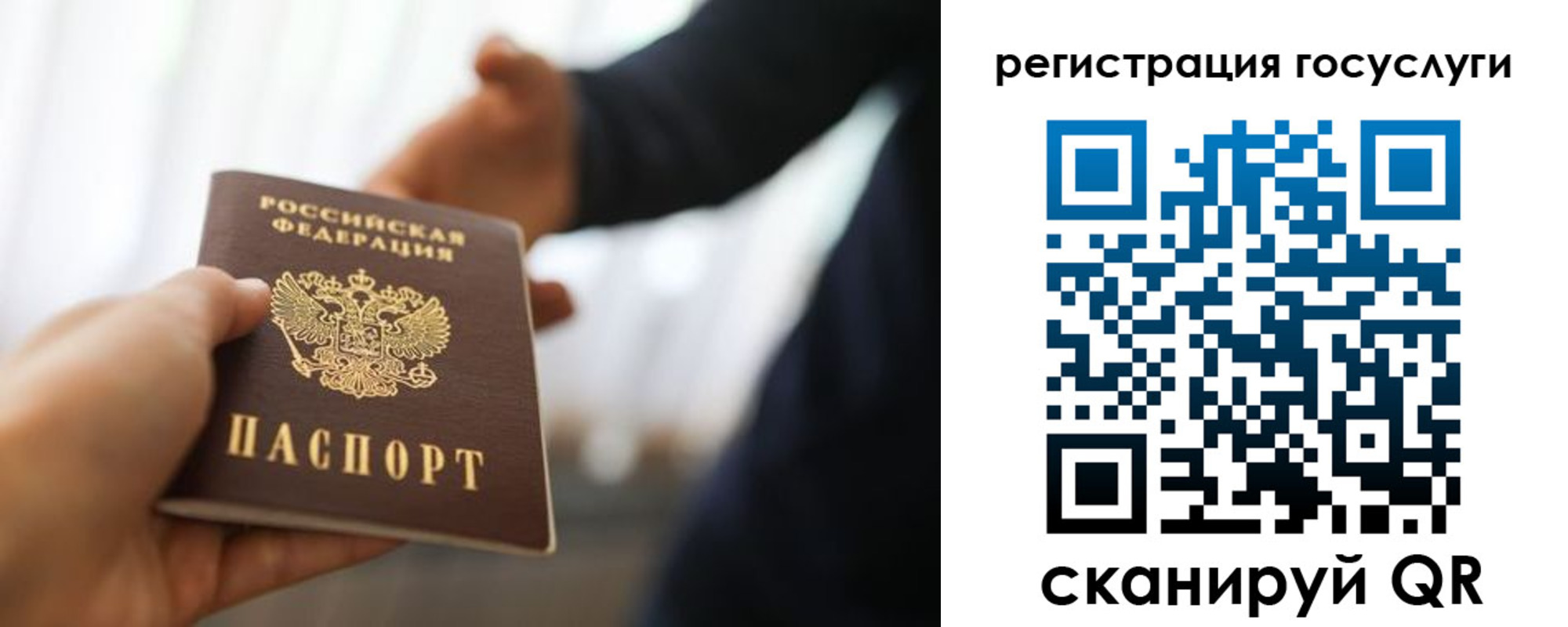 прописка в Стародубе